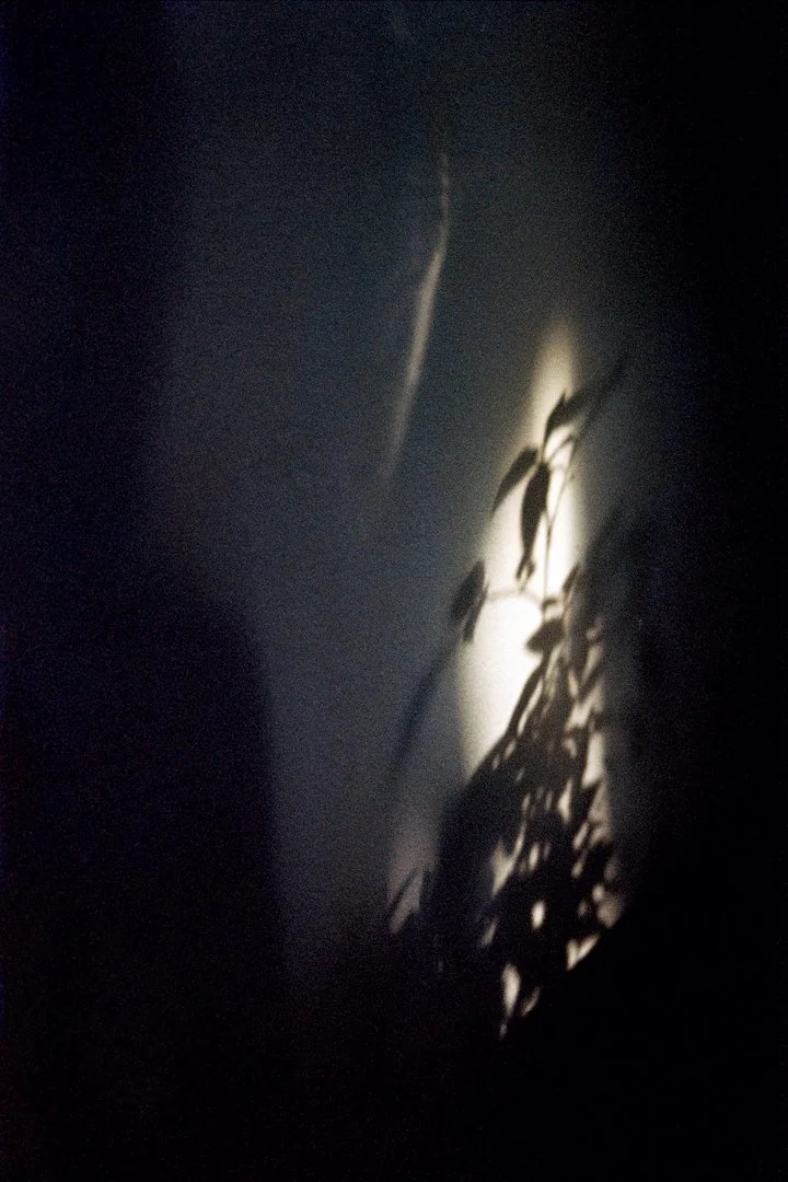 kitchen hymns-14.jpg