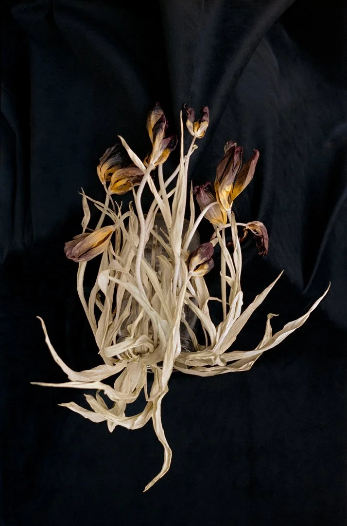 kitchen hymns-01.jpg