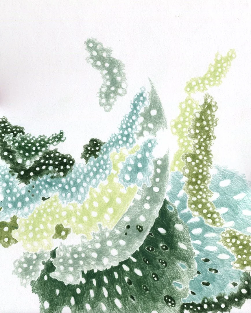 kitchen hymns-04.jpg