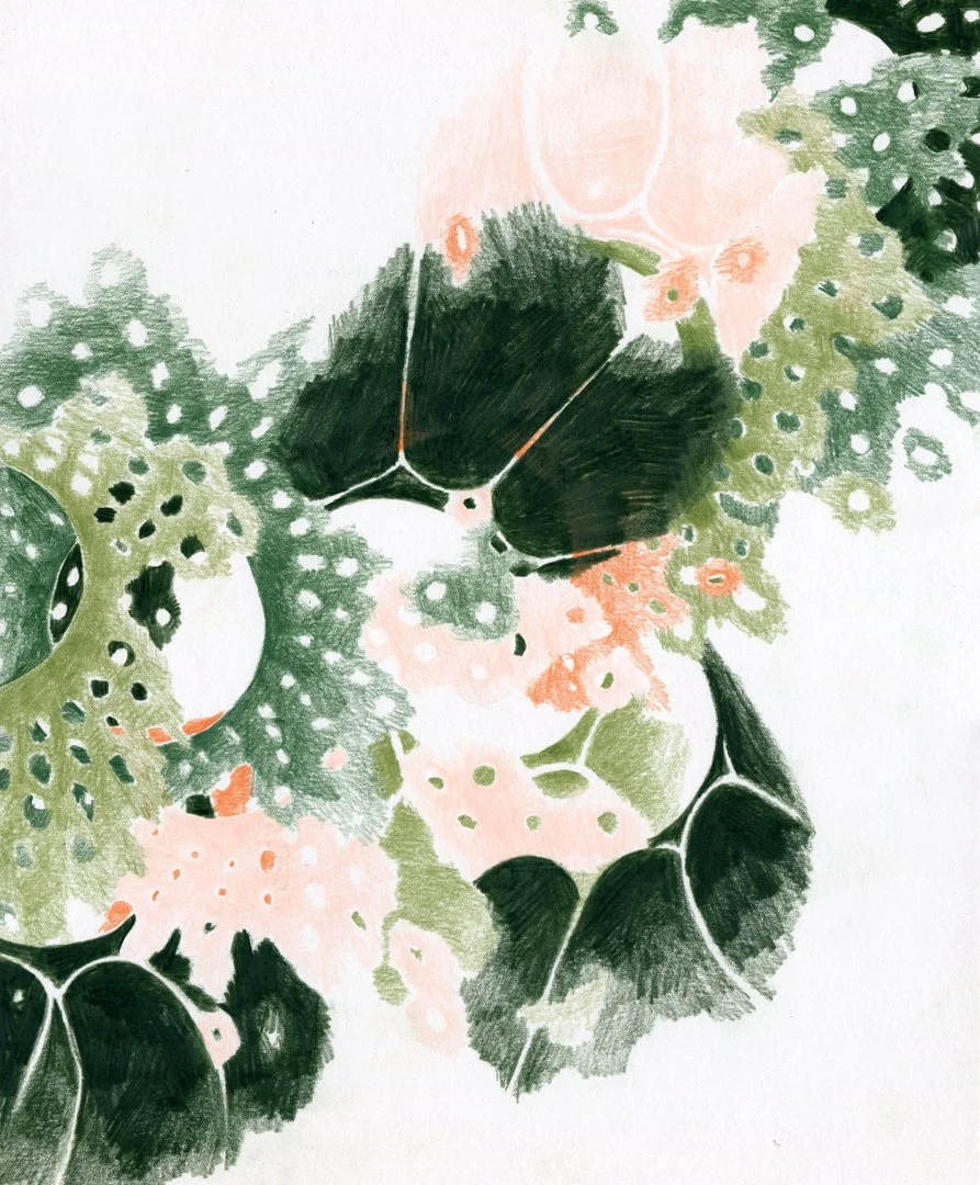 kitchen hymns-05.jpg