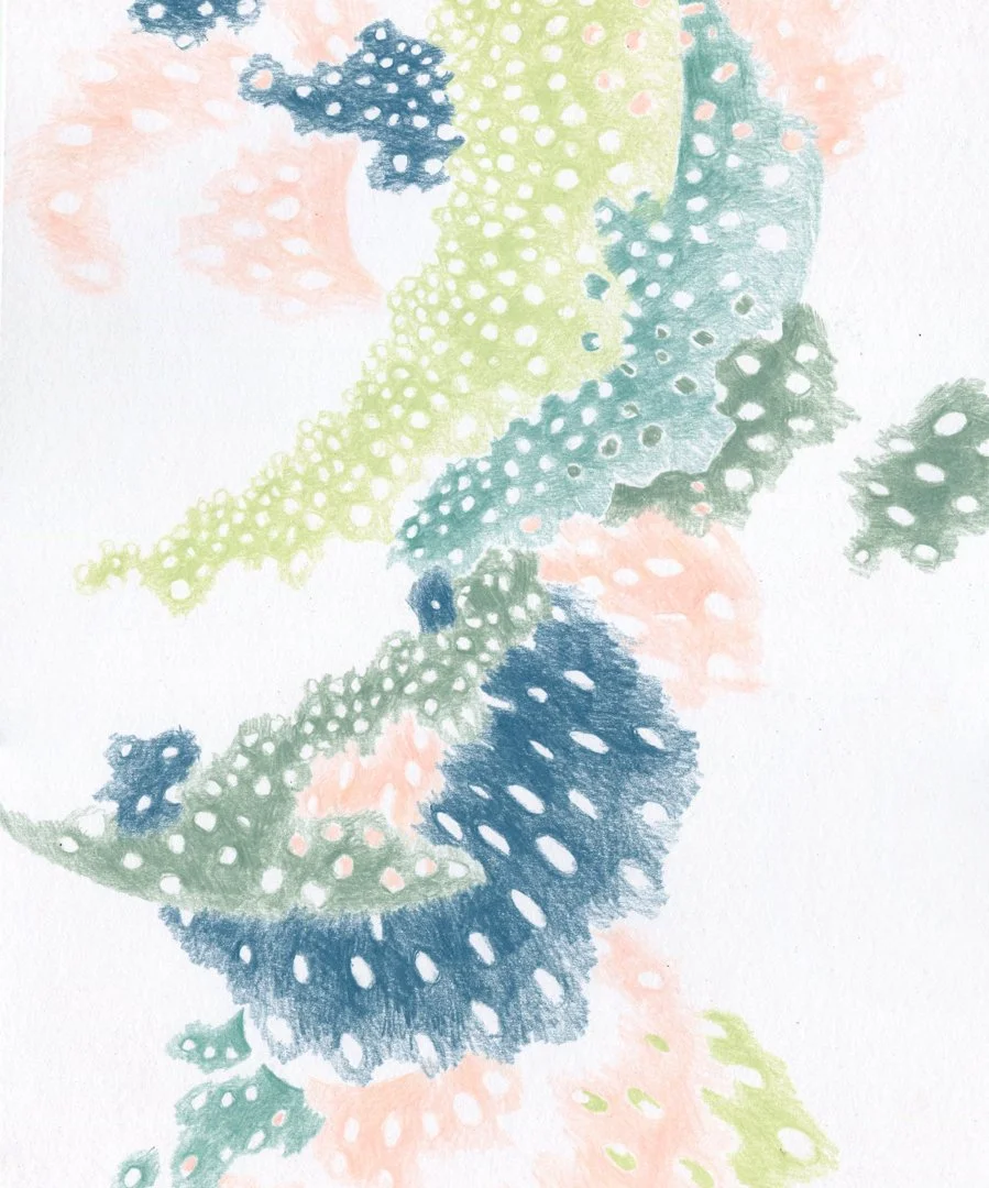 kitchen hymns-06.jpg