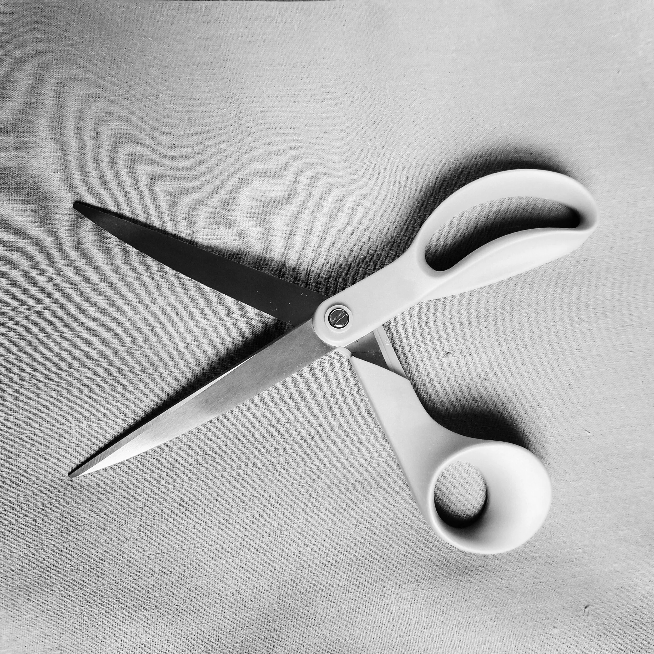 processed_2019-11-05 07.46.53 2.jpg