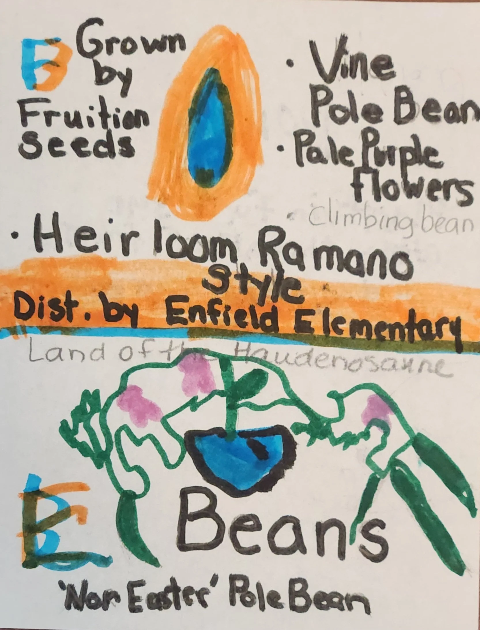 3 Sisters &amp; Flower Seed Give Away