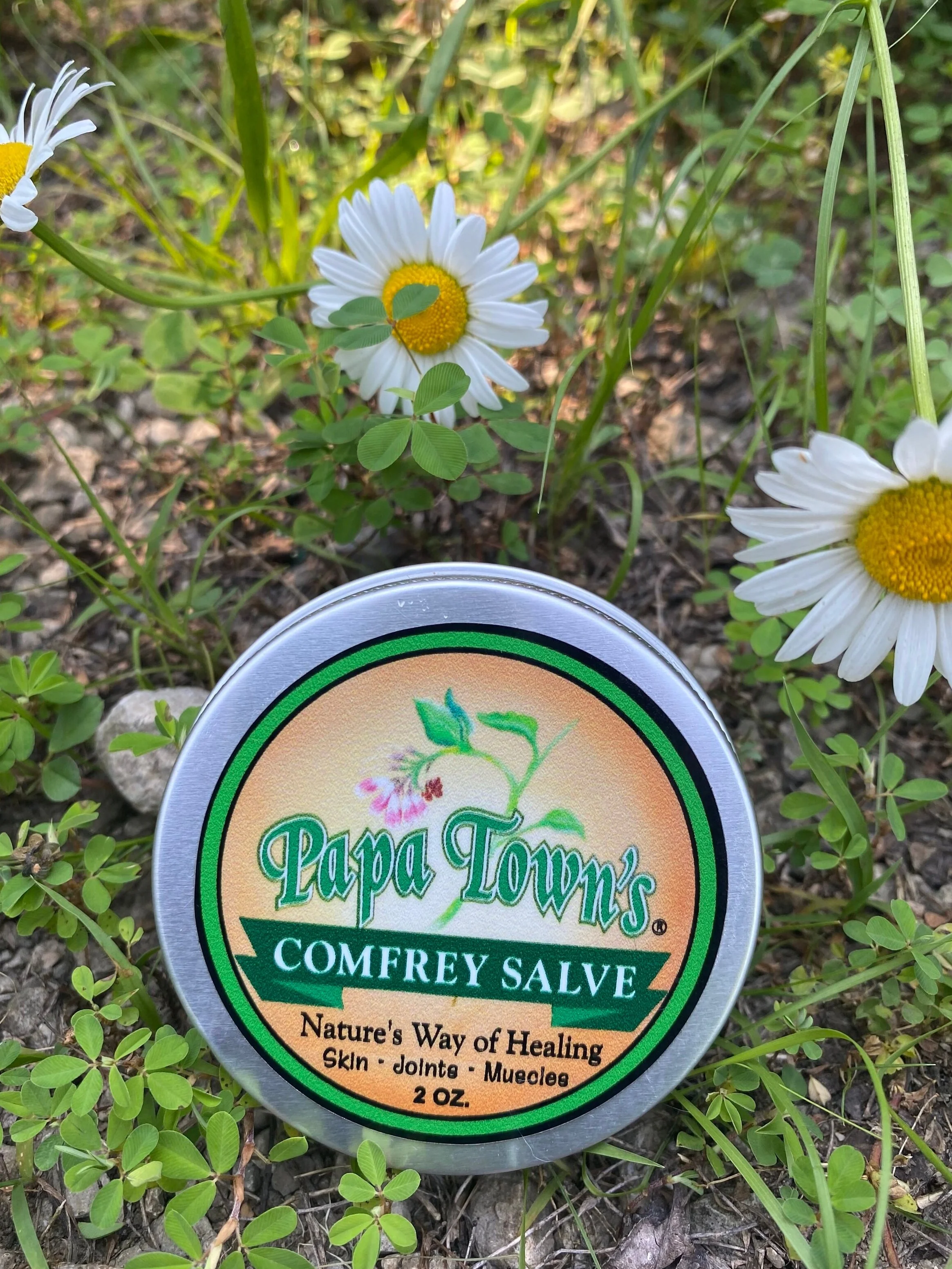 Comfrey Salve - 2 oz.