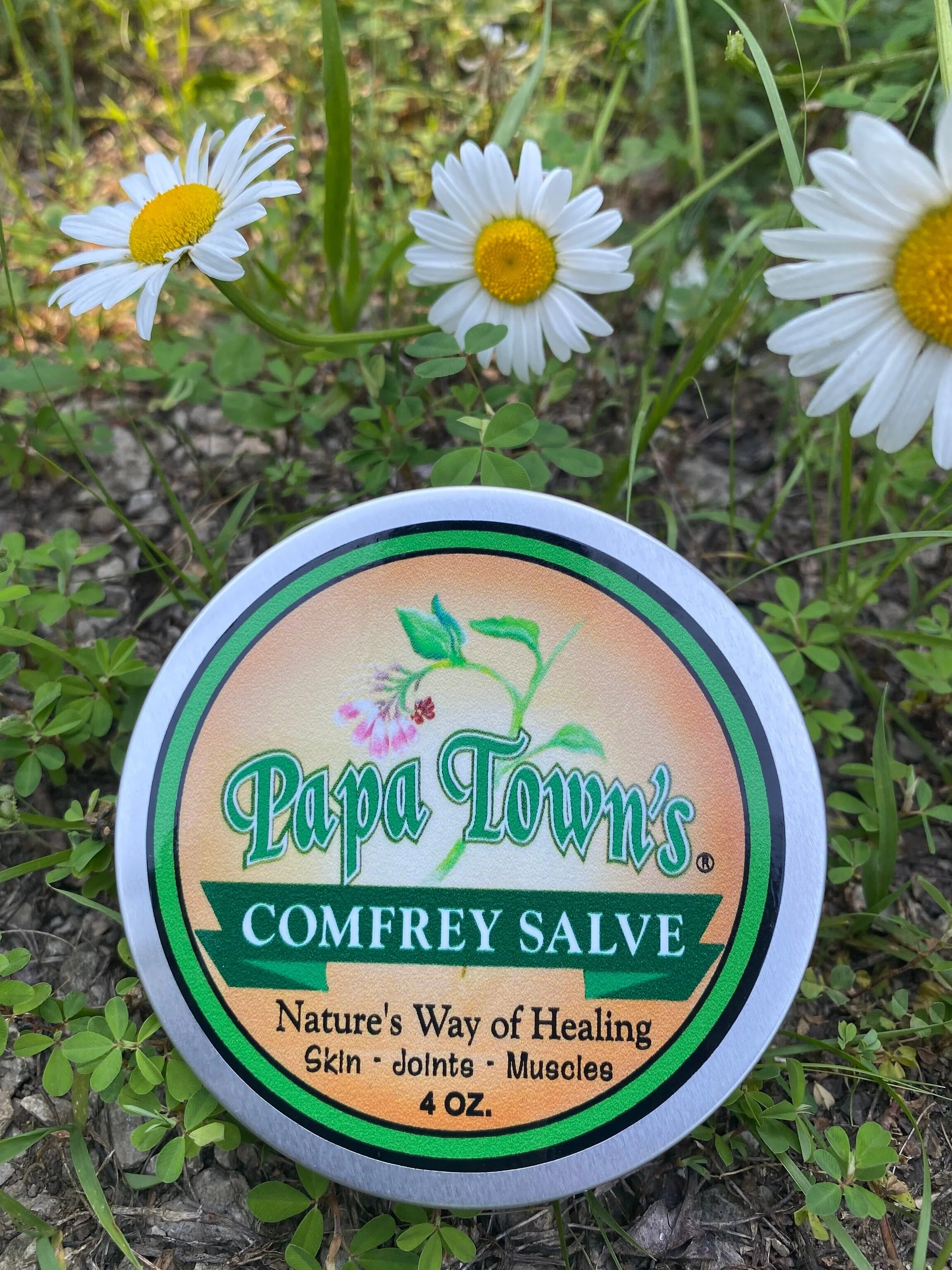 Comfrey Salve - 4 oz.