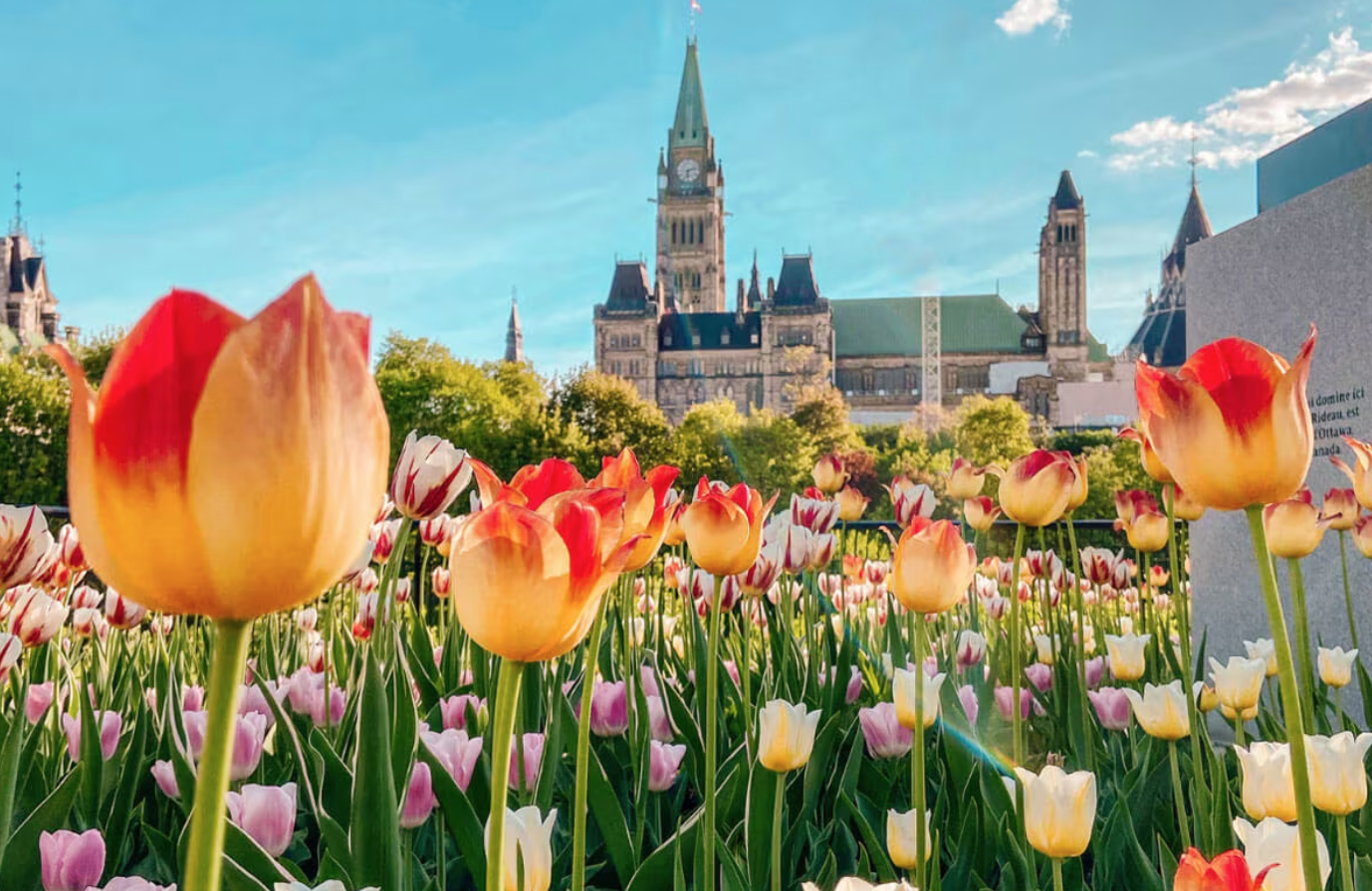 Resident Registration 2026