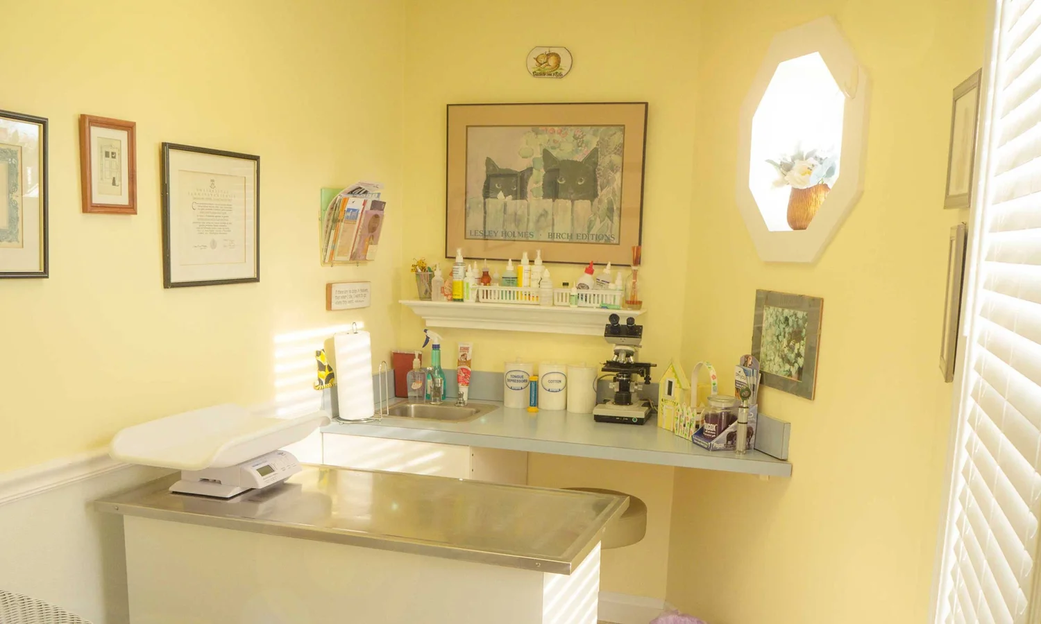 About — Beach Animal Hospital