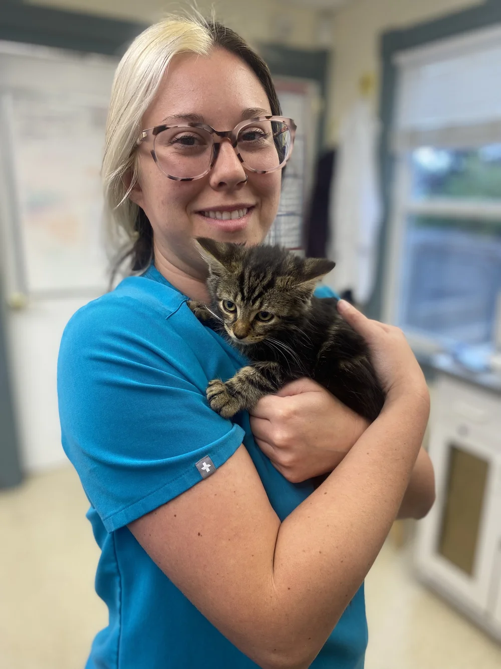 Testimonials — Beach Animal Hospital