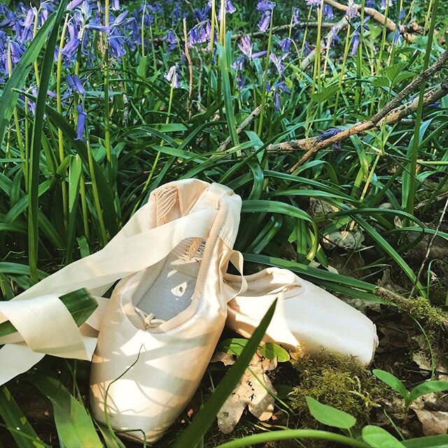 My old pointe shoes decided they&rsquo;d had enough of lock down &amp; went to admire the beautiful bluebells! #bluebellseason #pointeshoes #naturephotography #ballet #photography