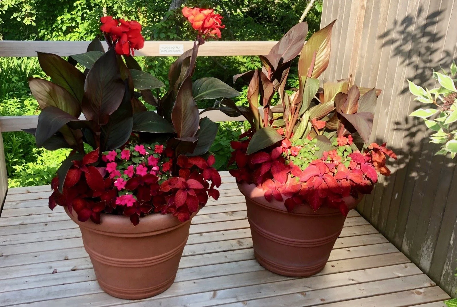 Tropical Mix - Special order for June 2020