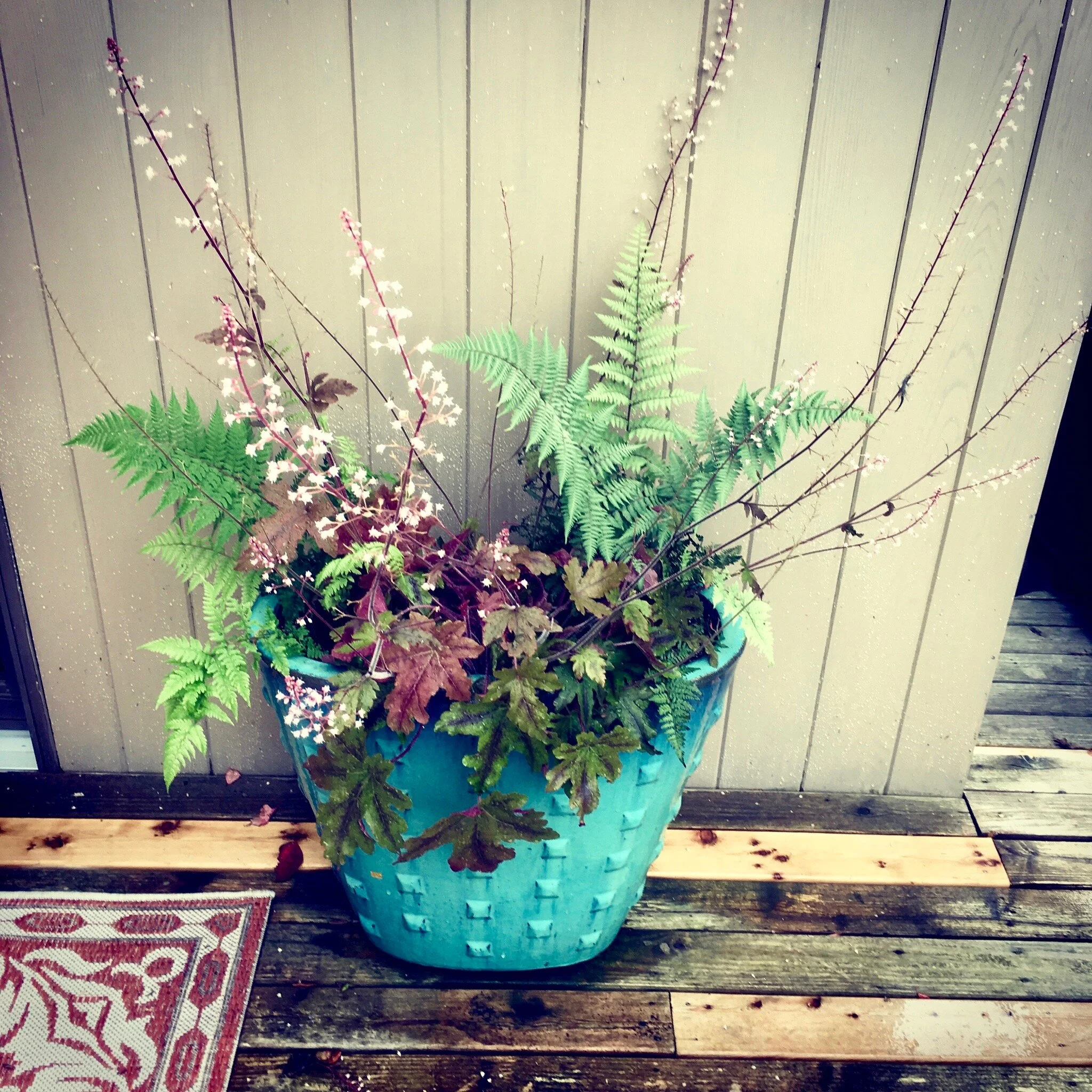 Perennial Planter - Special order for June 2020