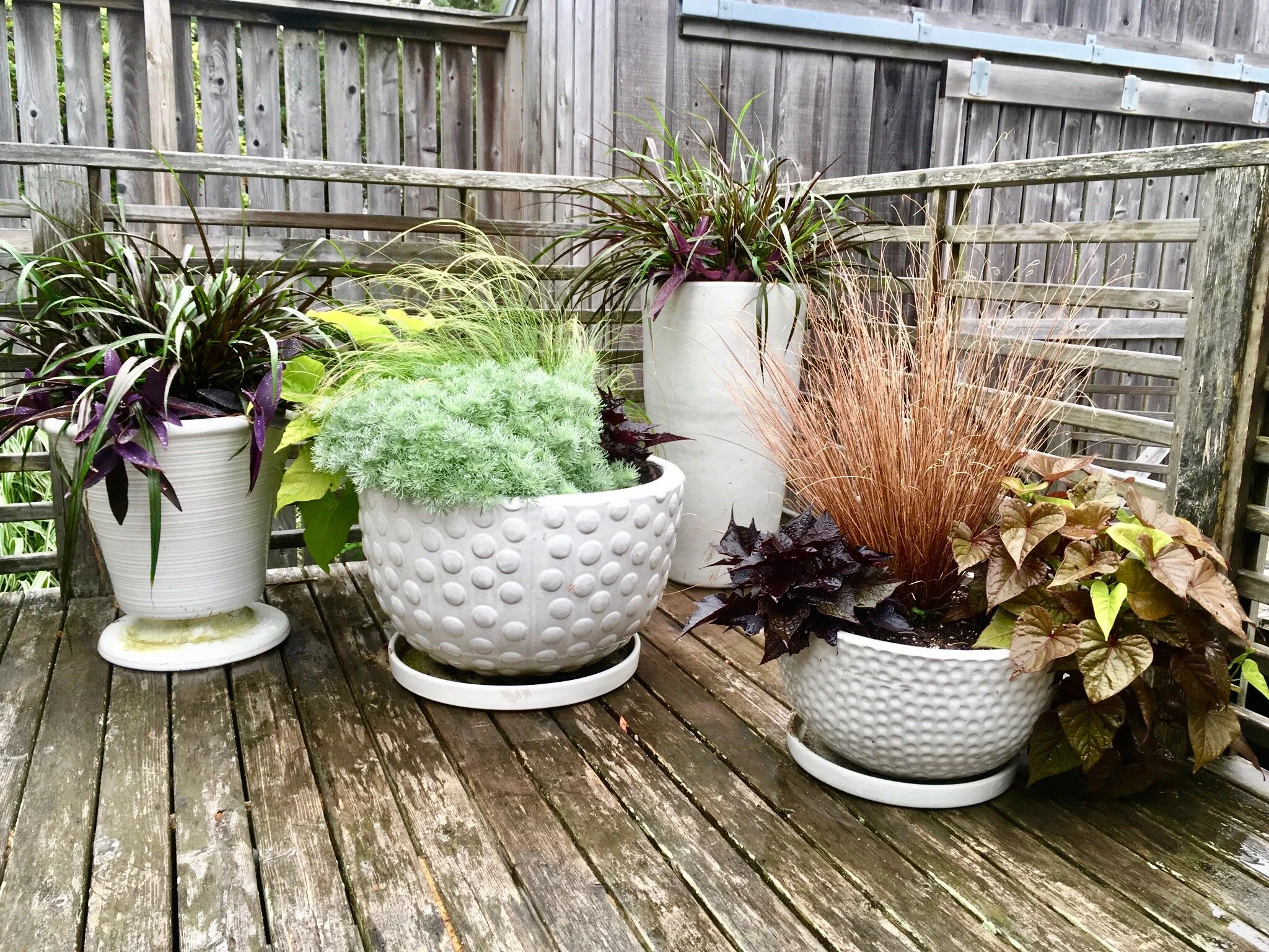 Mac Shades Collection - Special order for June 2020