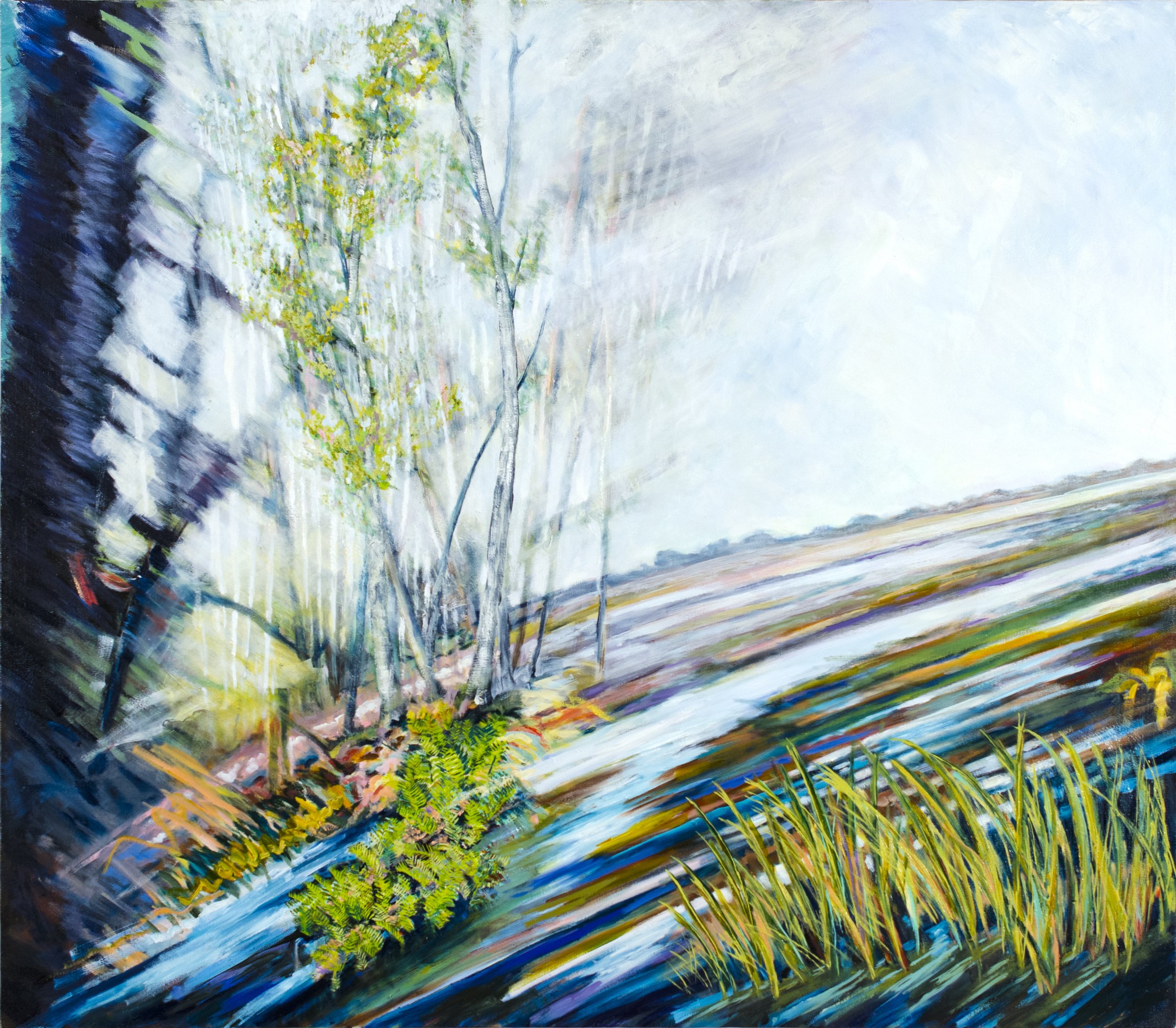 Bolinas Lagoon II 42 x 48 inches, Oil on canvas  $6800