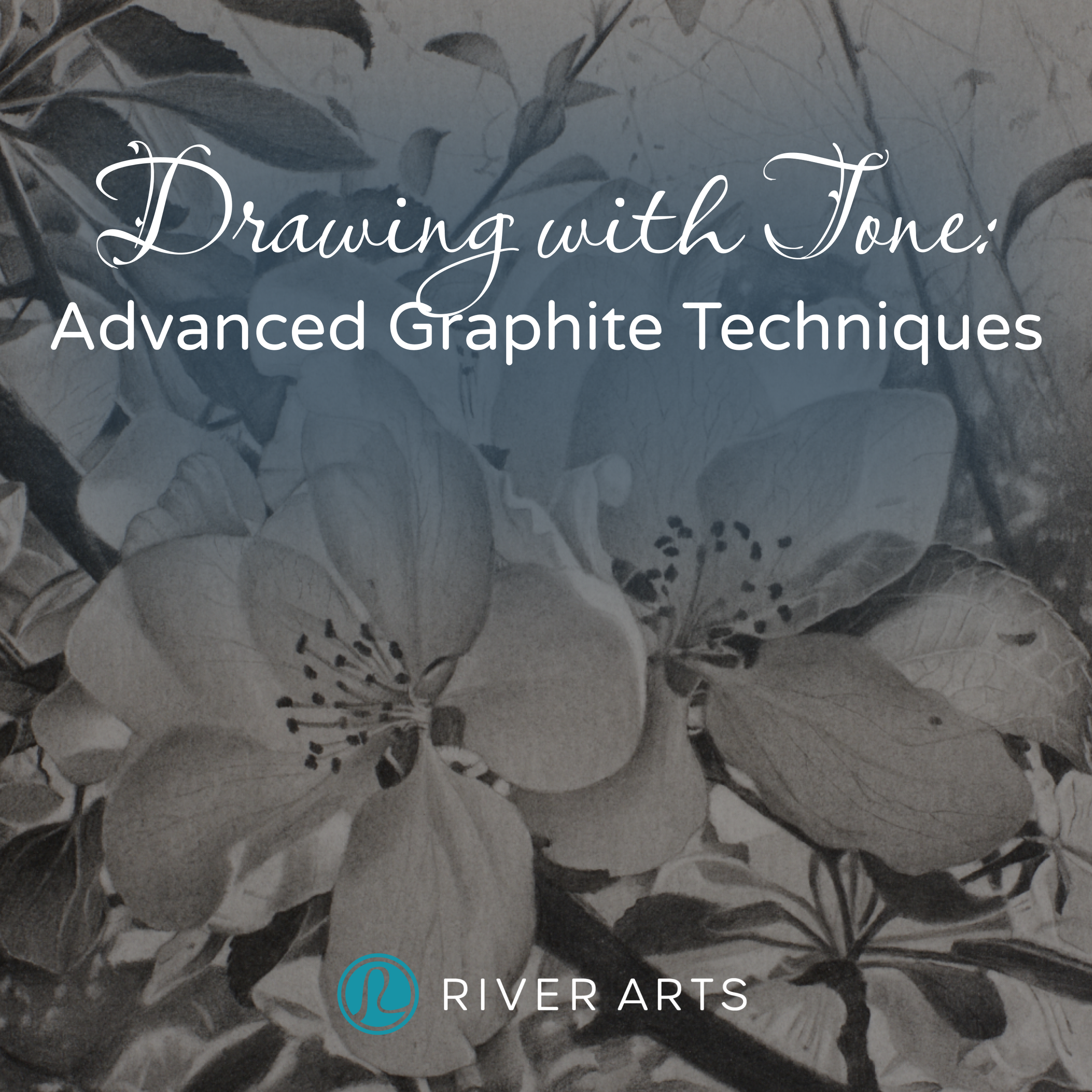 Drawing with Tone: Advanced Graphite Techniques