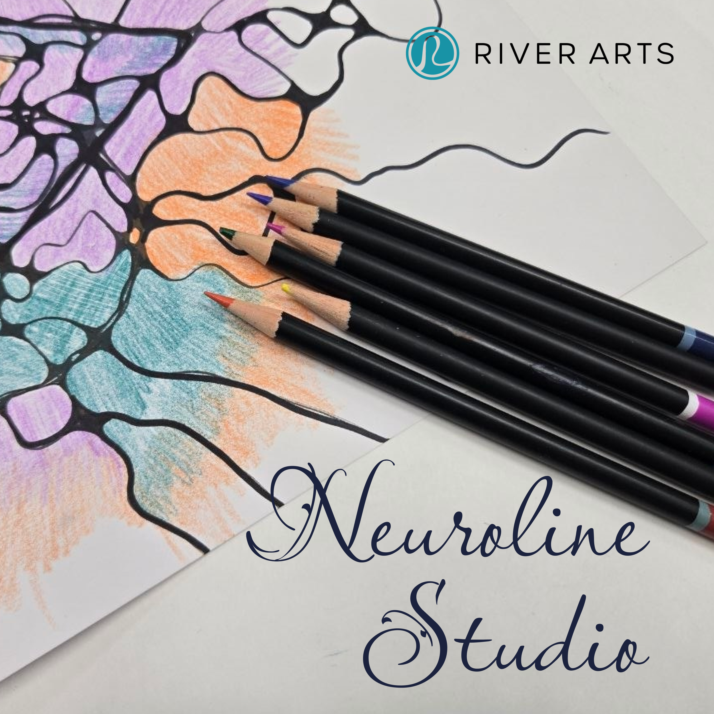 Neuroline Studio
