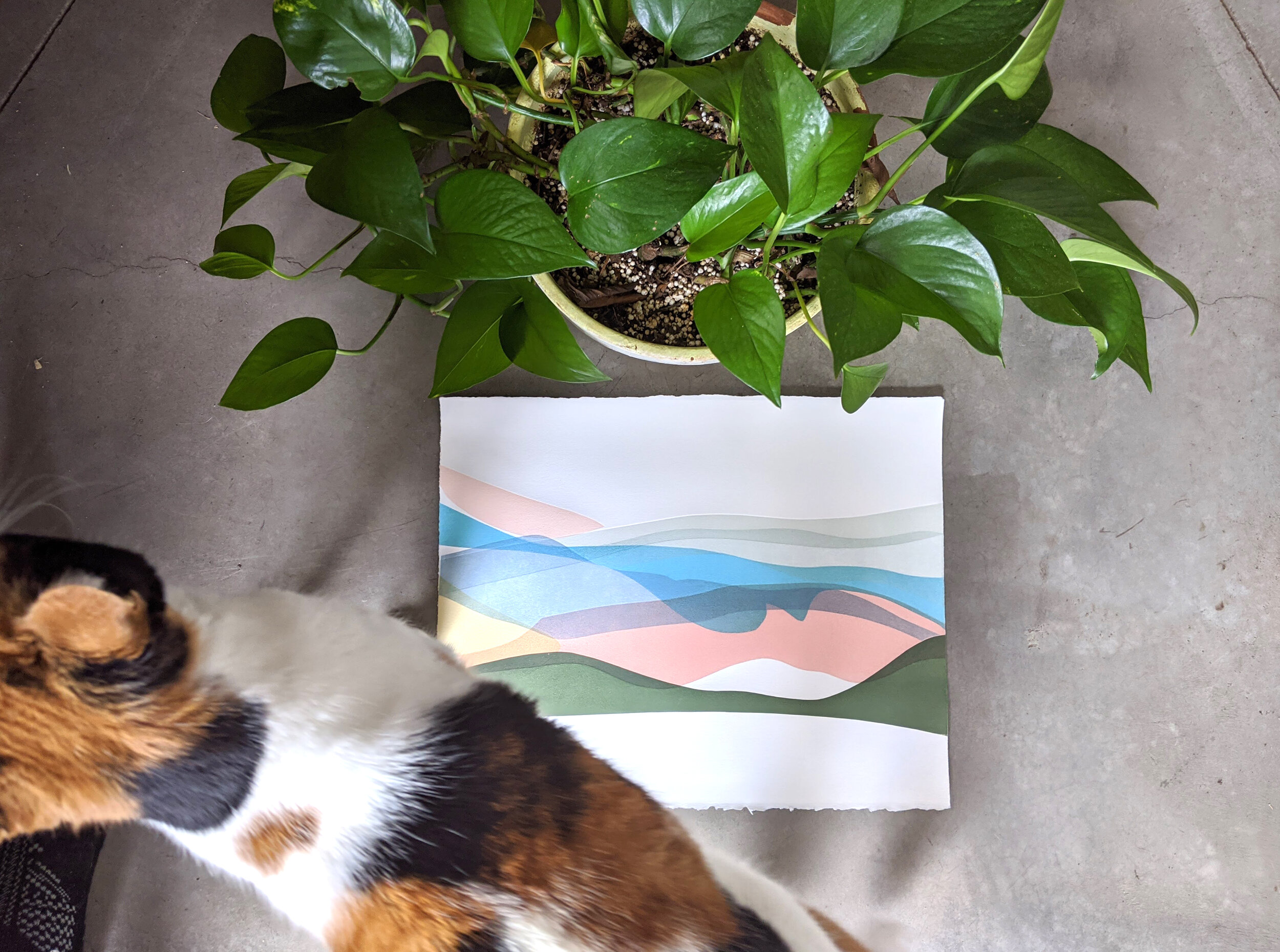 PS_redhill 8_2020.jpg