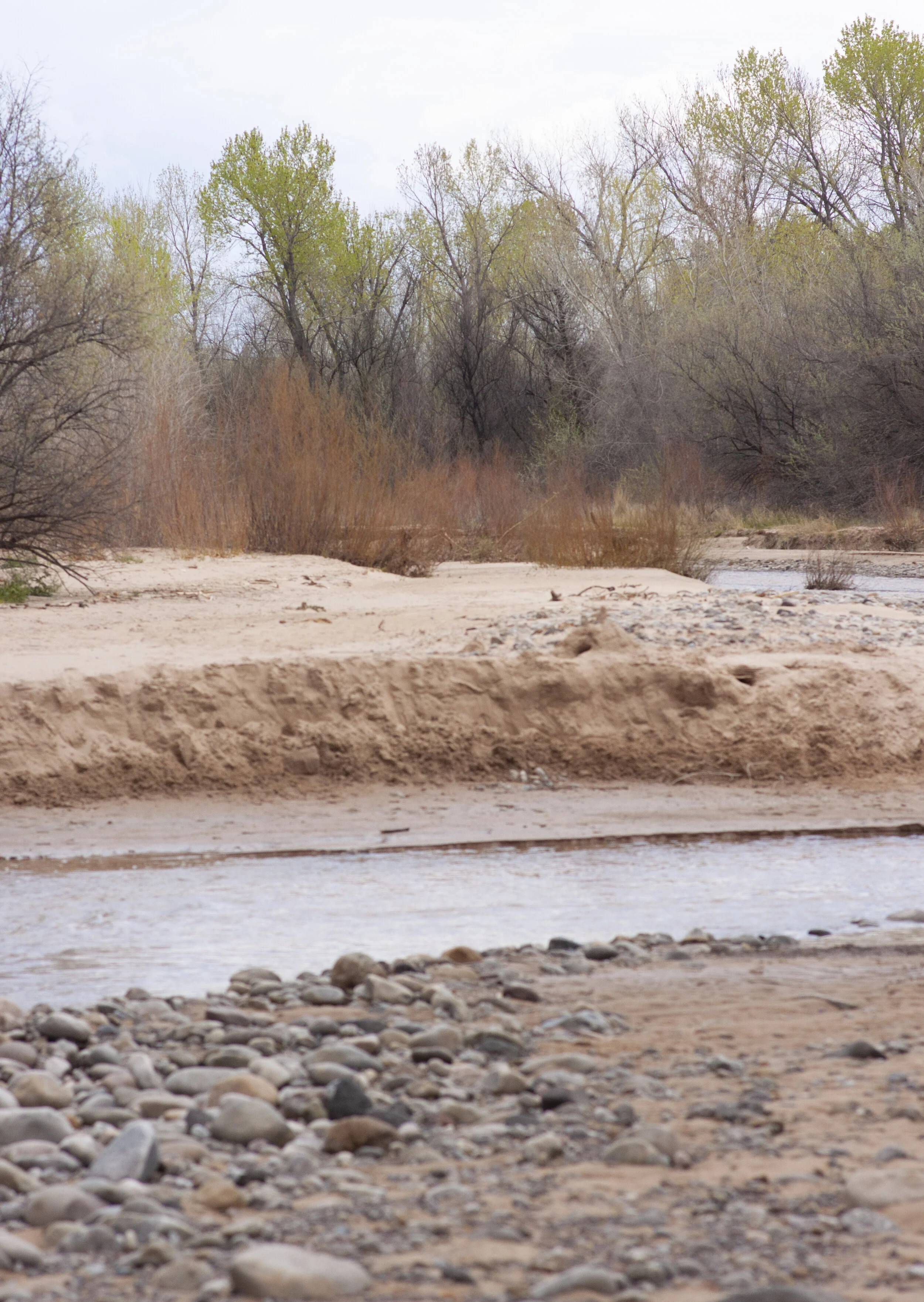 creek.jpg
