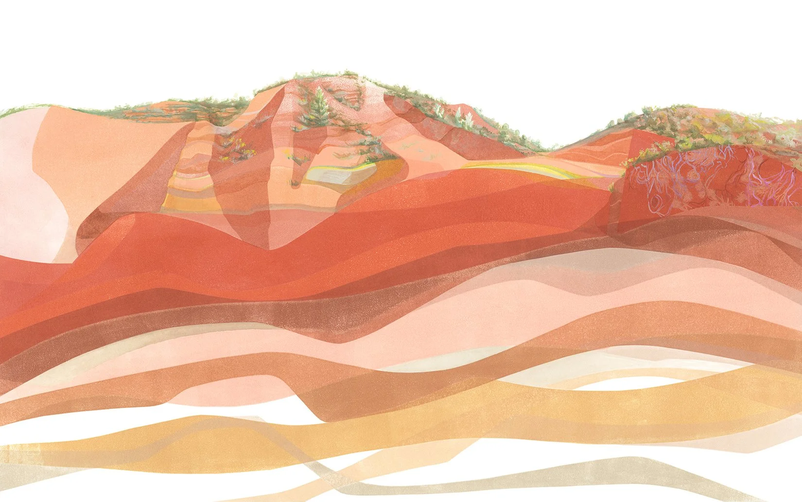 PS_Red Hill Learning to See_2021_reduced_web.jpg