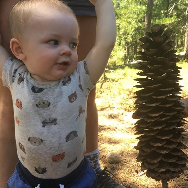 Babies and big pine cones and big trees and big love