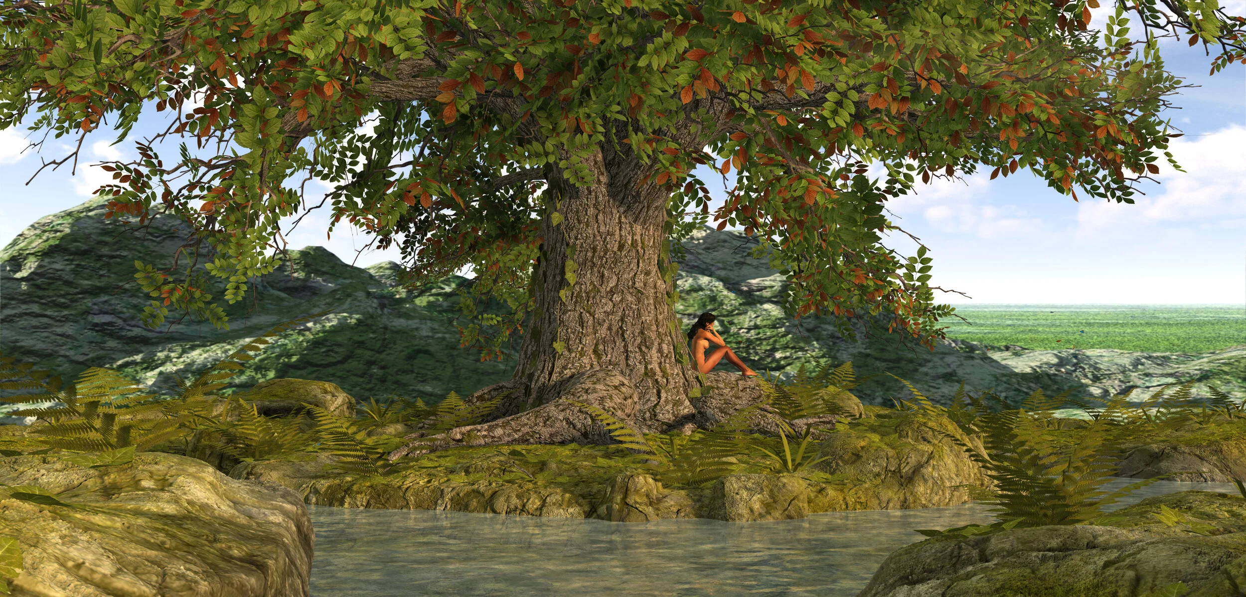 Butterflies in Summer.jpeg