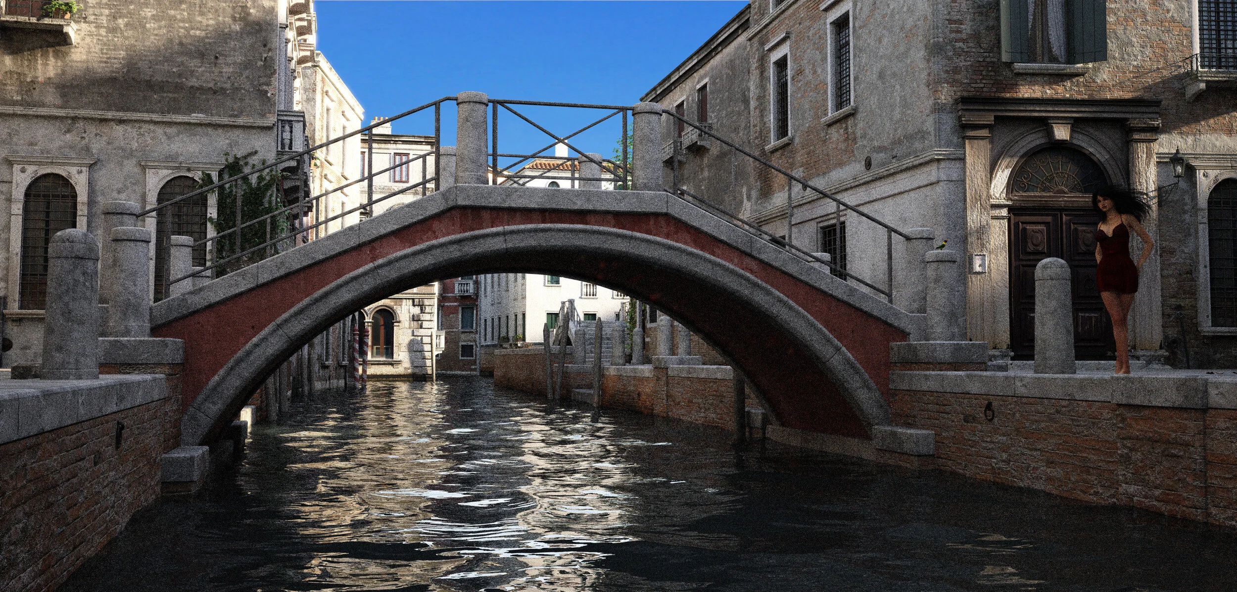 The lost Lovebird.Jpeg