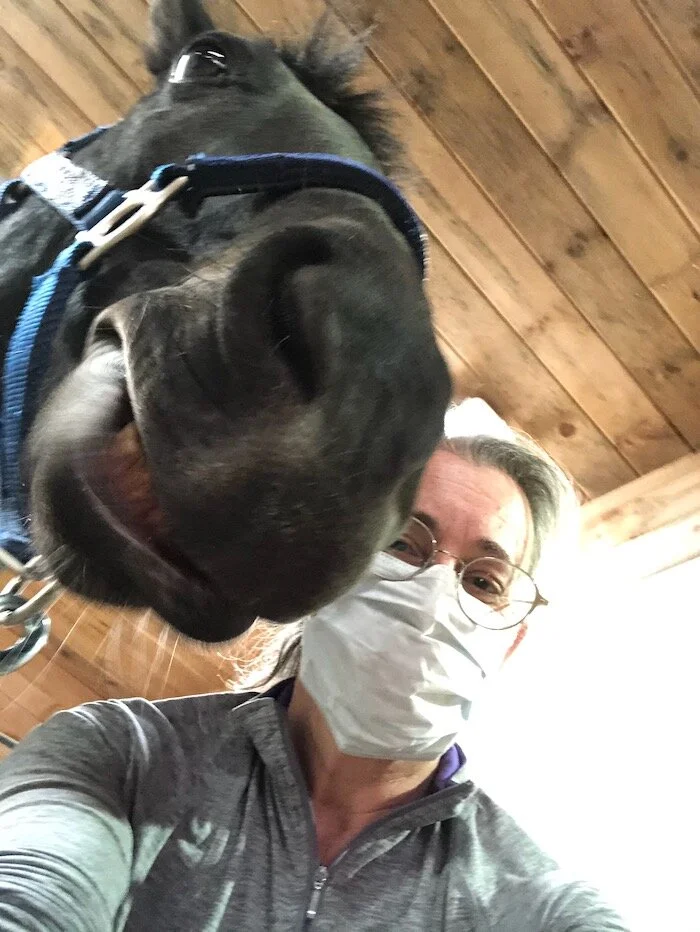 Foaling In The Time of COVID