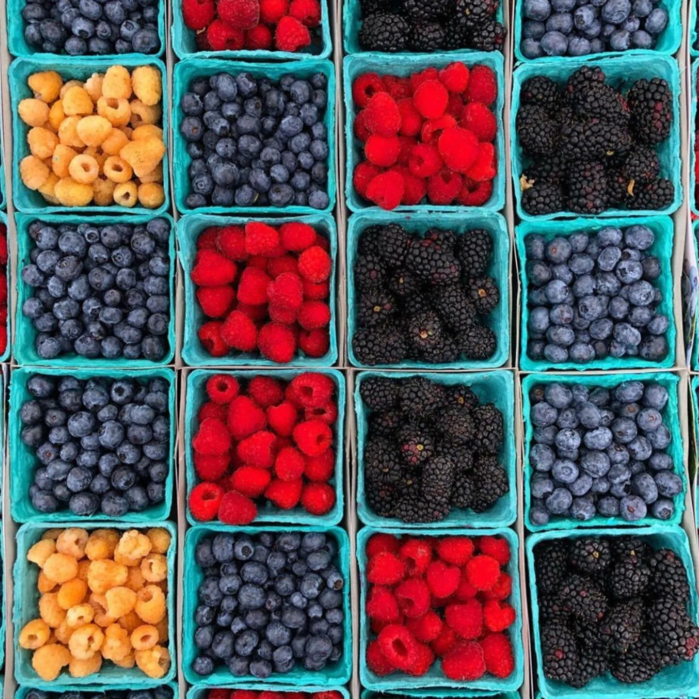 Tis the season for fresh, local fruit 🫐 what&rsquo;s your favorite?