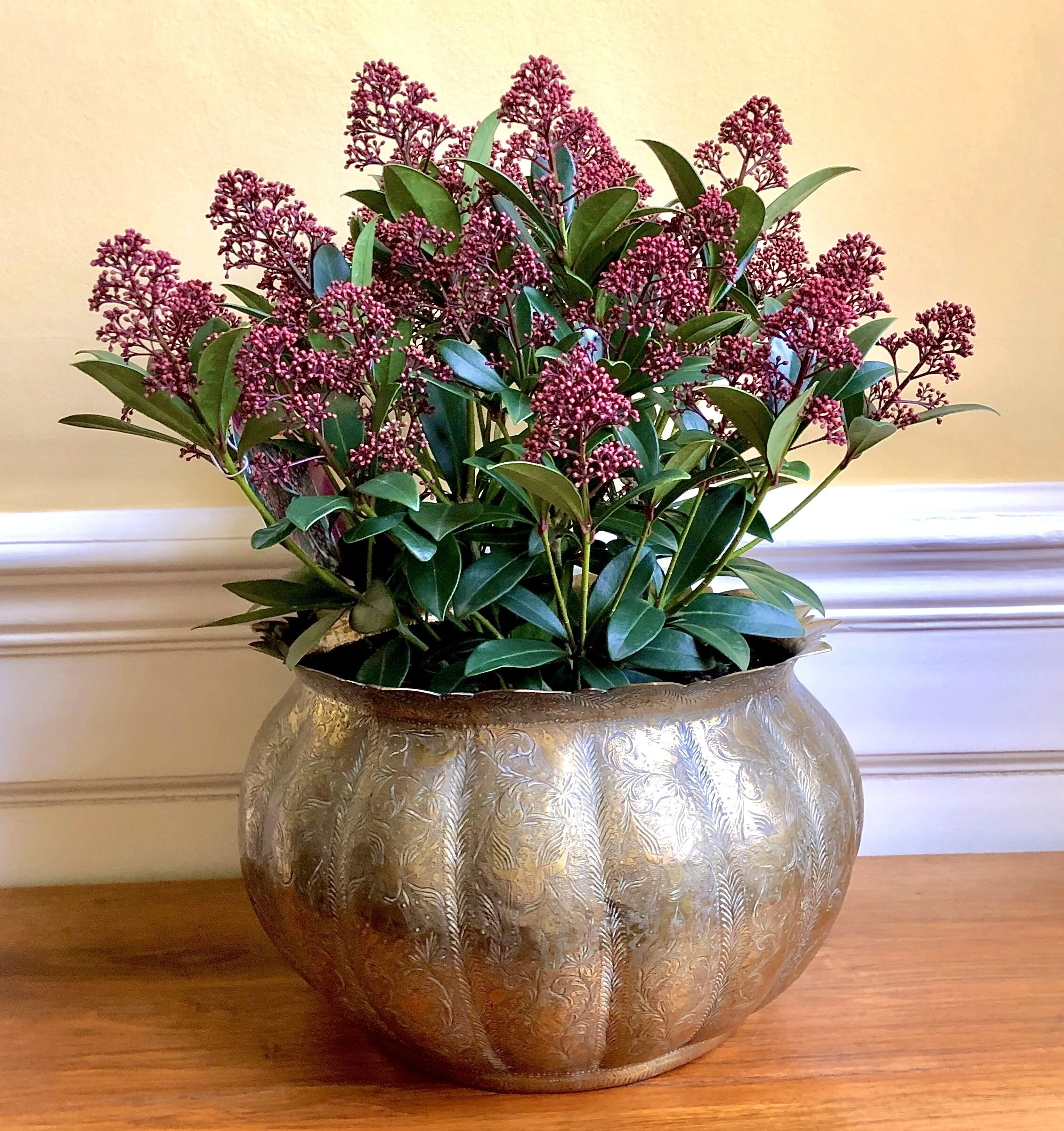 89. Antique Indian brass planter