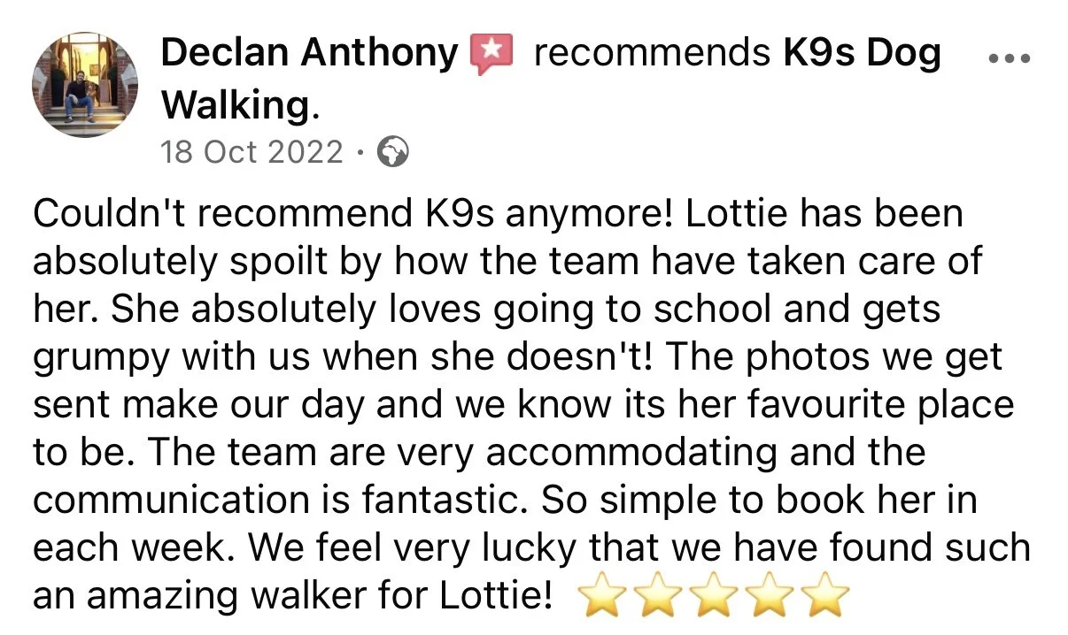 Screenshot of a social media post praising a service dog, Lottie, that assists with dog walking. The post includes five gold star emojis at the end.
