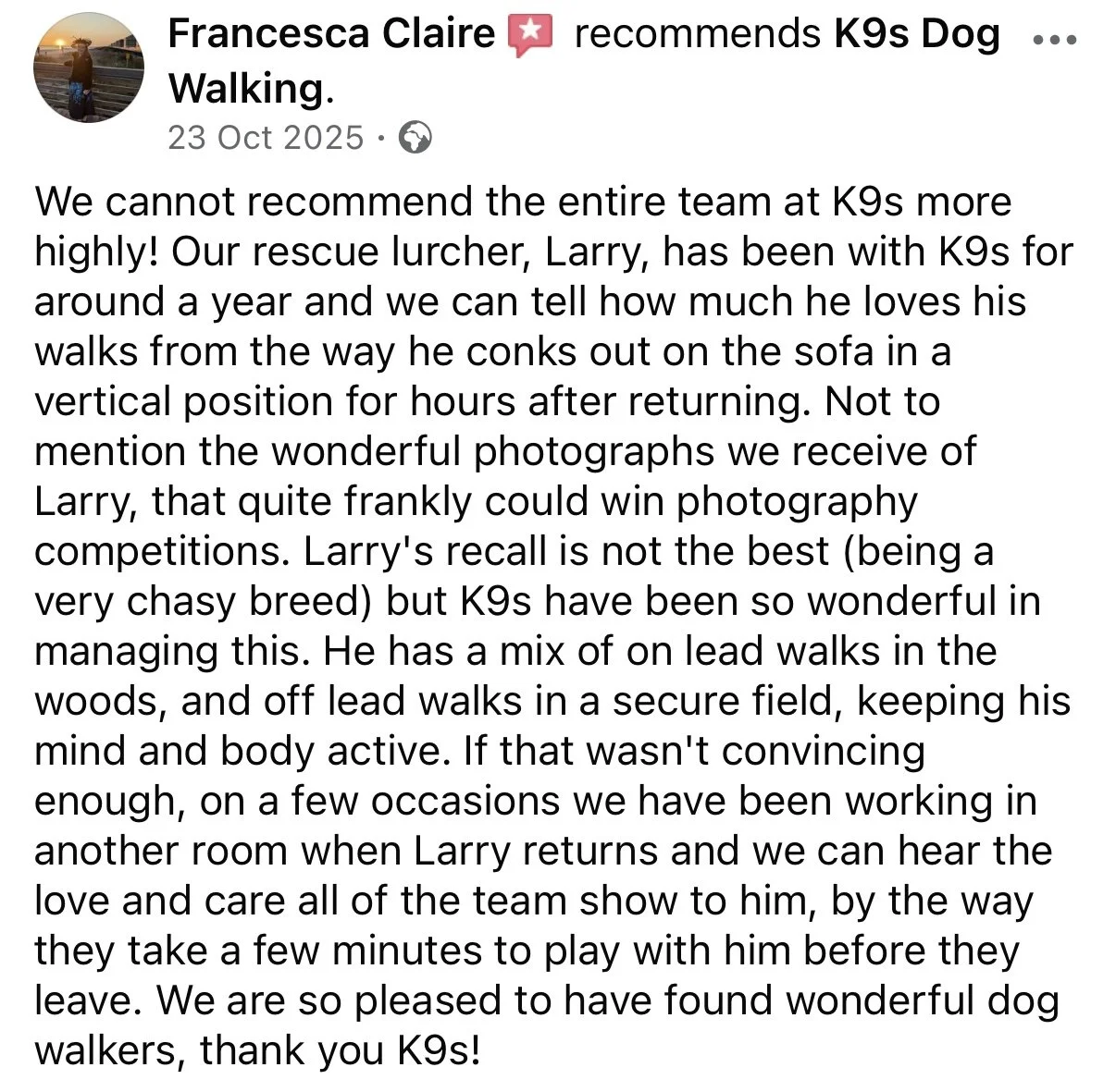 Text post recommending K9s dog walking team, praising their skills and connection with the dogs they walk, with a specific mention of Larry, a rescue lurcher, and describing the team's approach and bond with the dogs.