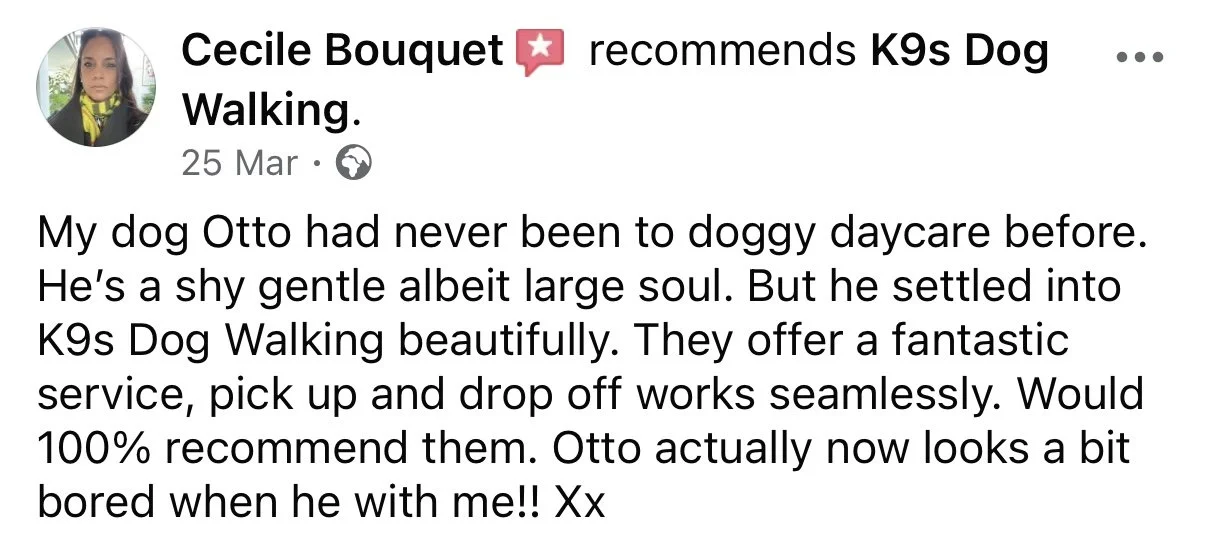 Screenshot of a Facebook review by Cecile Bouquet recommending K9s Dog Walking, praising her dog Otto and her service.