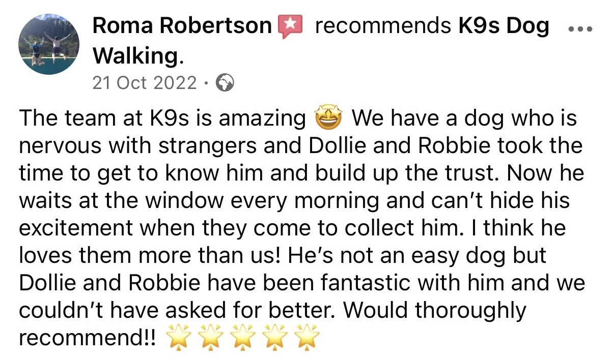 A Facebook post recommending K9s Dog Walking, featuring a profile picture of two dogs jumping in the air outdoors.