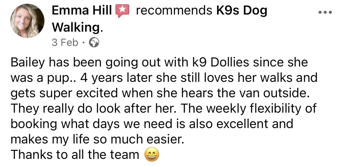 A Facebook review from Emma Hill recommending K9s Dog Walking. It mentions Bailey, a dog, going out with K9s Dollies since she was a puppy, and her excitement when she hears the van outside. The review highlights flexibility in booking and gratitude 