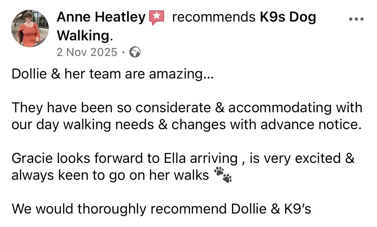 A Facebook review recommending K9s Dog Walking, mentioning a dog named Dollie and her team, with a photo of a woman wearing a red shirt and sunglasses.