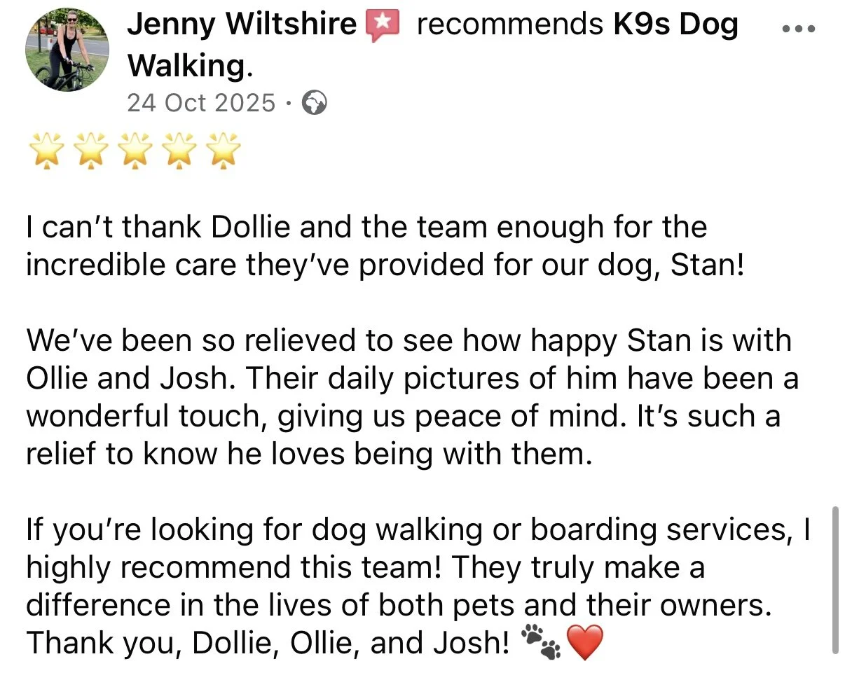 Screenshot of a Facebook post praising a dog walking team, with a photo of a woman in athletic wear, holding a leash with a dog. The post contains a thank you message to the team for caring for their dog, Stan, and mentions how happy Stan is with his