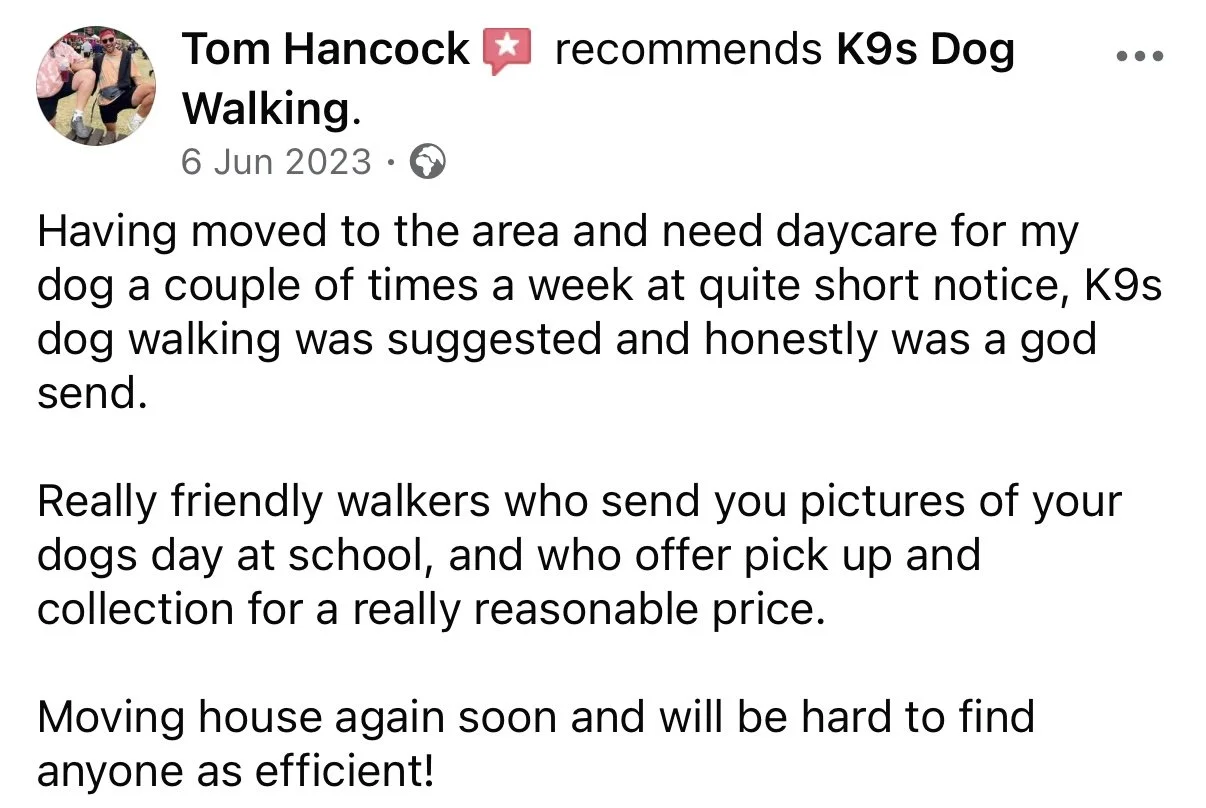 Screenshot of a Facebook post by Tom Hancock recommending K9s Dog Walking. The post discusses moving to a new area, needing dog daycare, and appreciates friendly dog walkers and service providers.