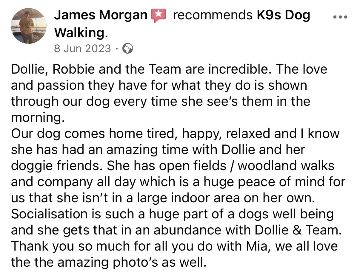 Facebook post by James Morgan recommending K9s Dog Walking, dated June 8, 2023.