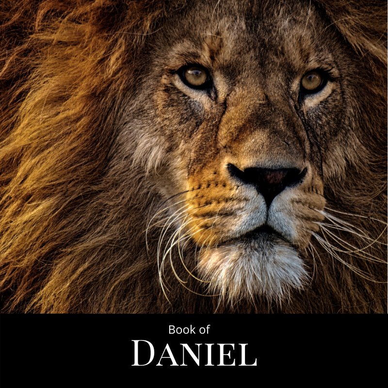 Daniel 2017