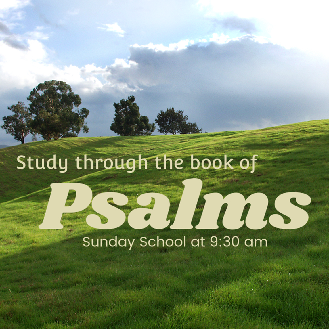 Psalms Chapters 101-118