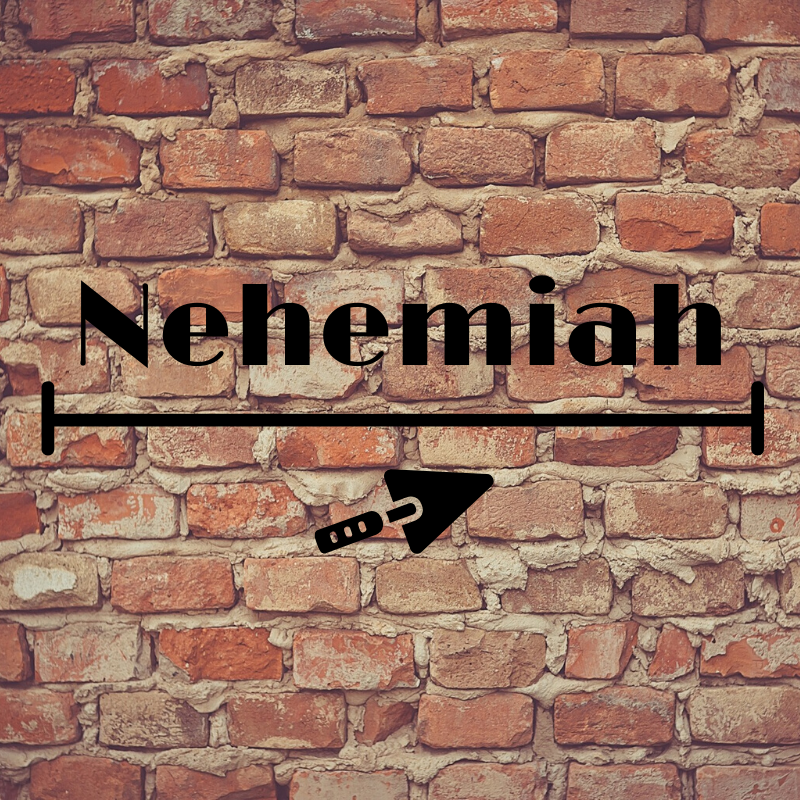 Nehemiah 2013
