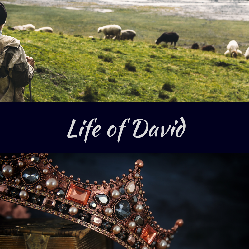 Life of David