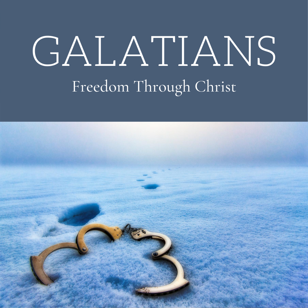 Galatian 2007-2008