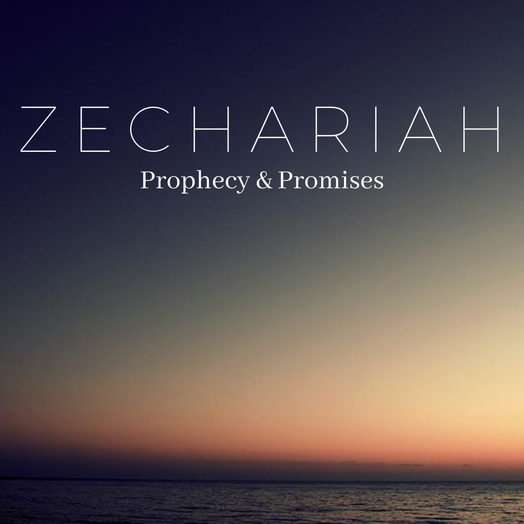 Zechariah 2010-2011