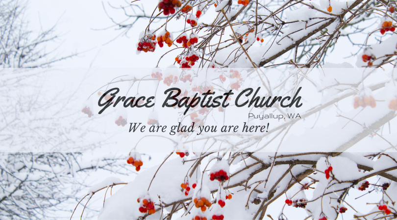 winter banner 2021 (3).png