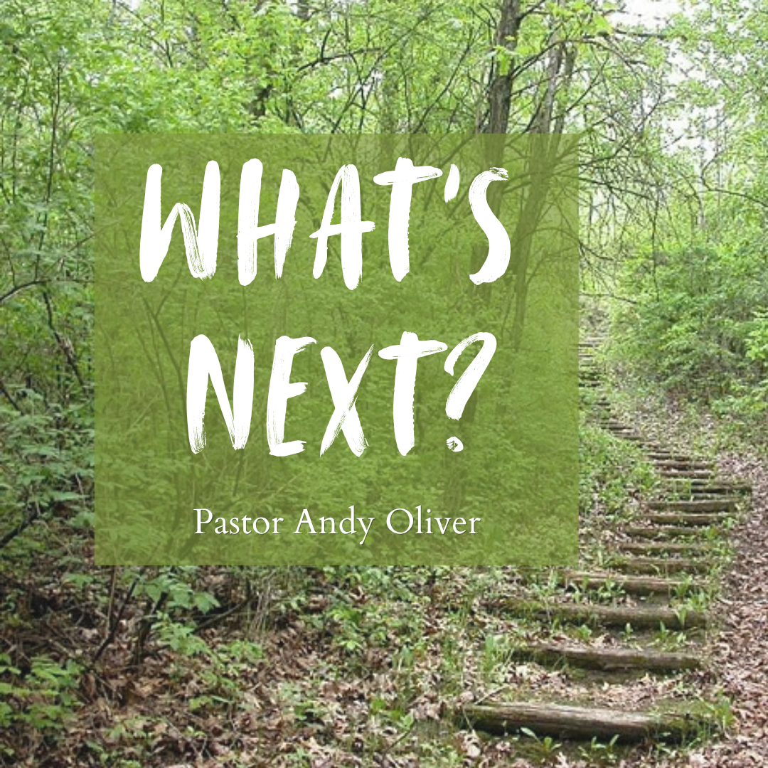 What's Next.png