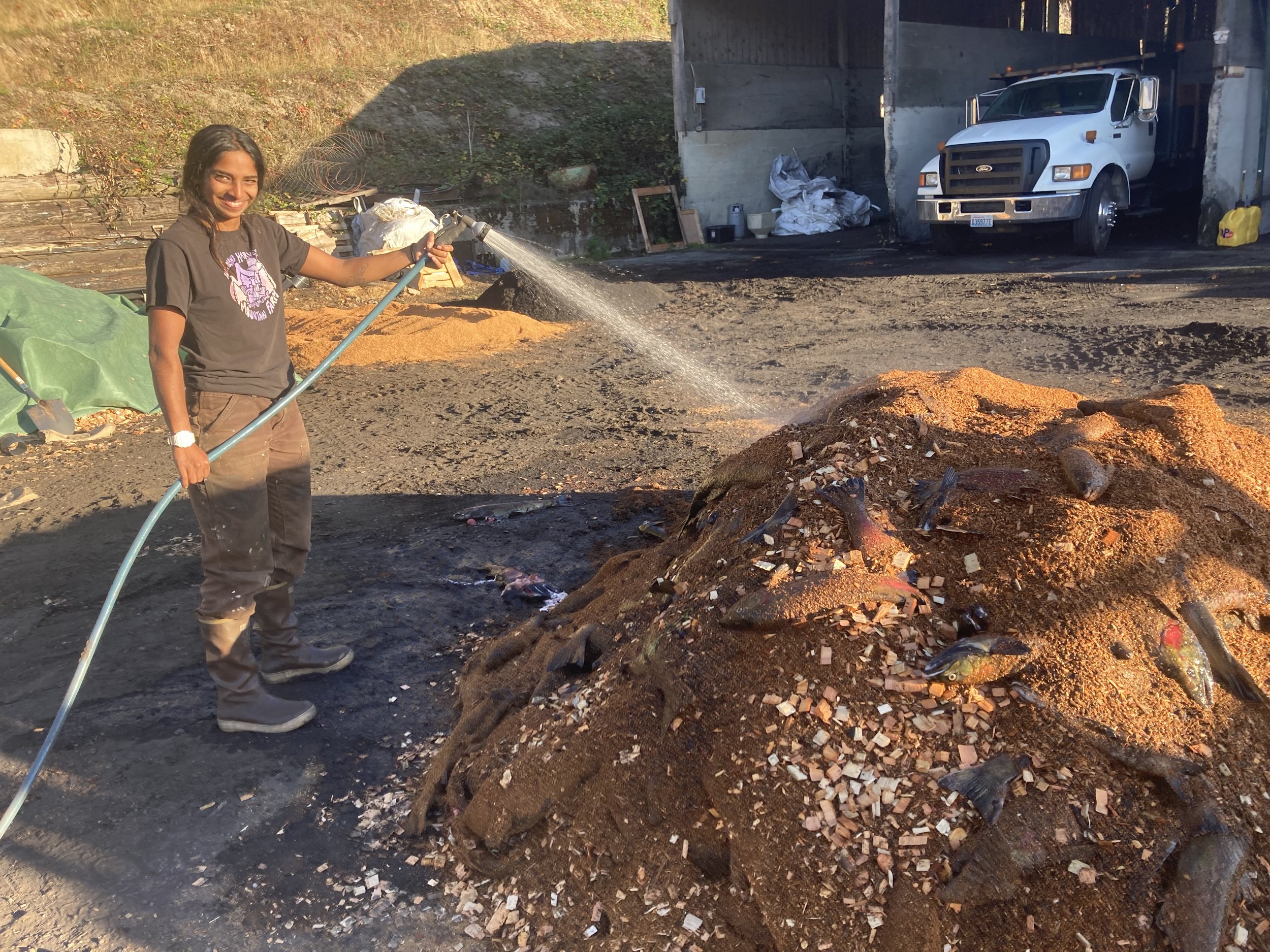Compost engineer Jasmine Kamdar waters in a fresh pile of compost, including sawdust, biochar, and coho salmon carcasses