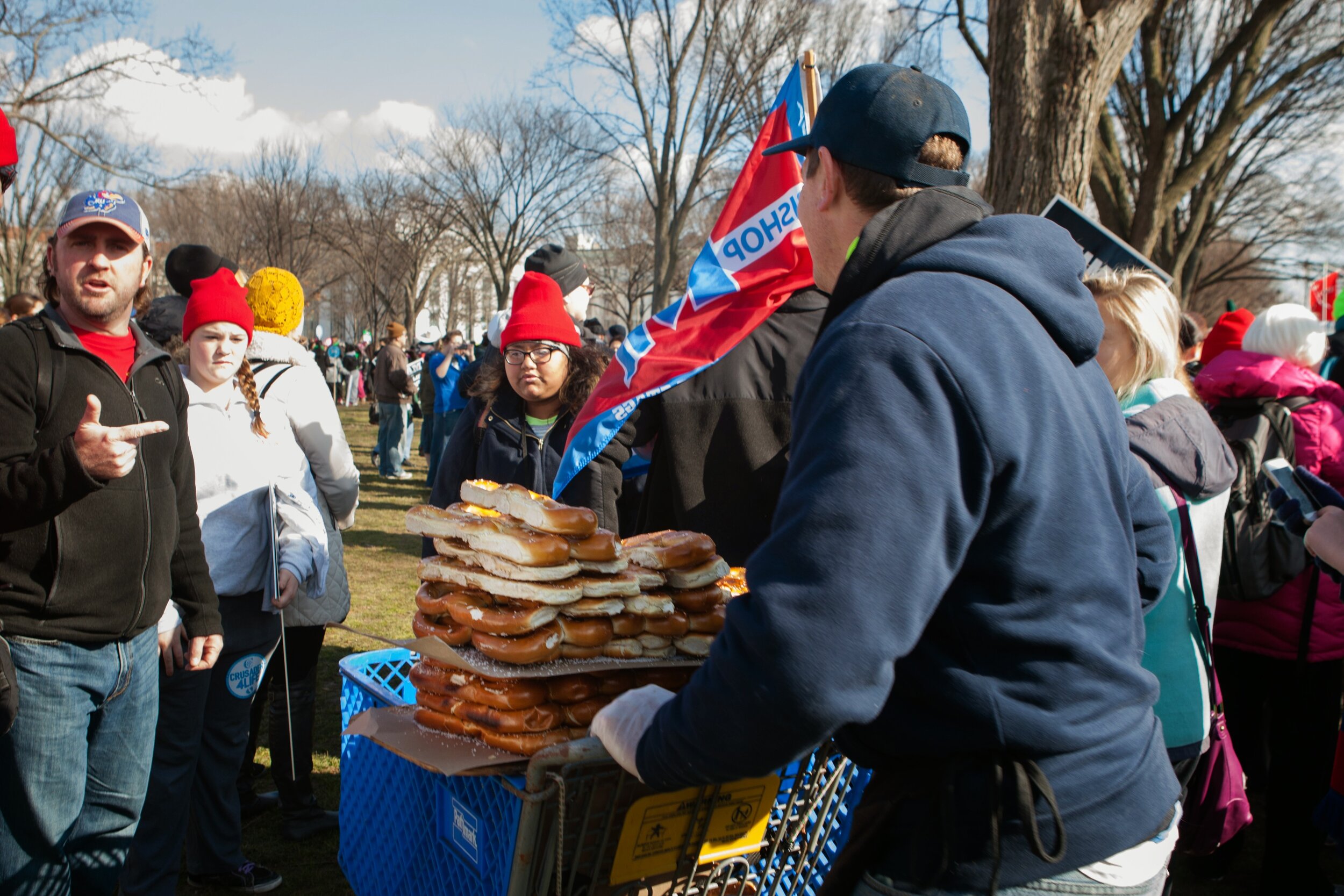 mfl_2015-42_15728877203_o.jpg
