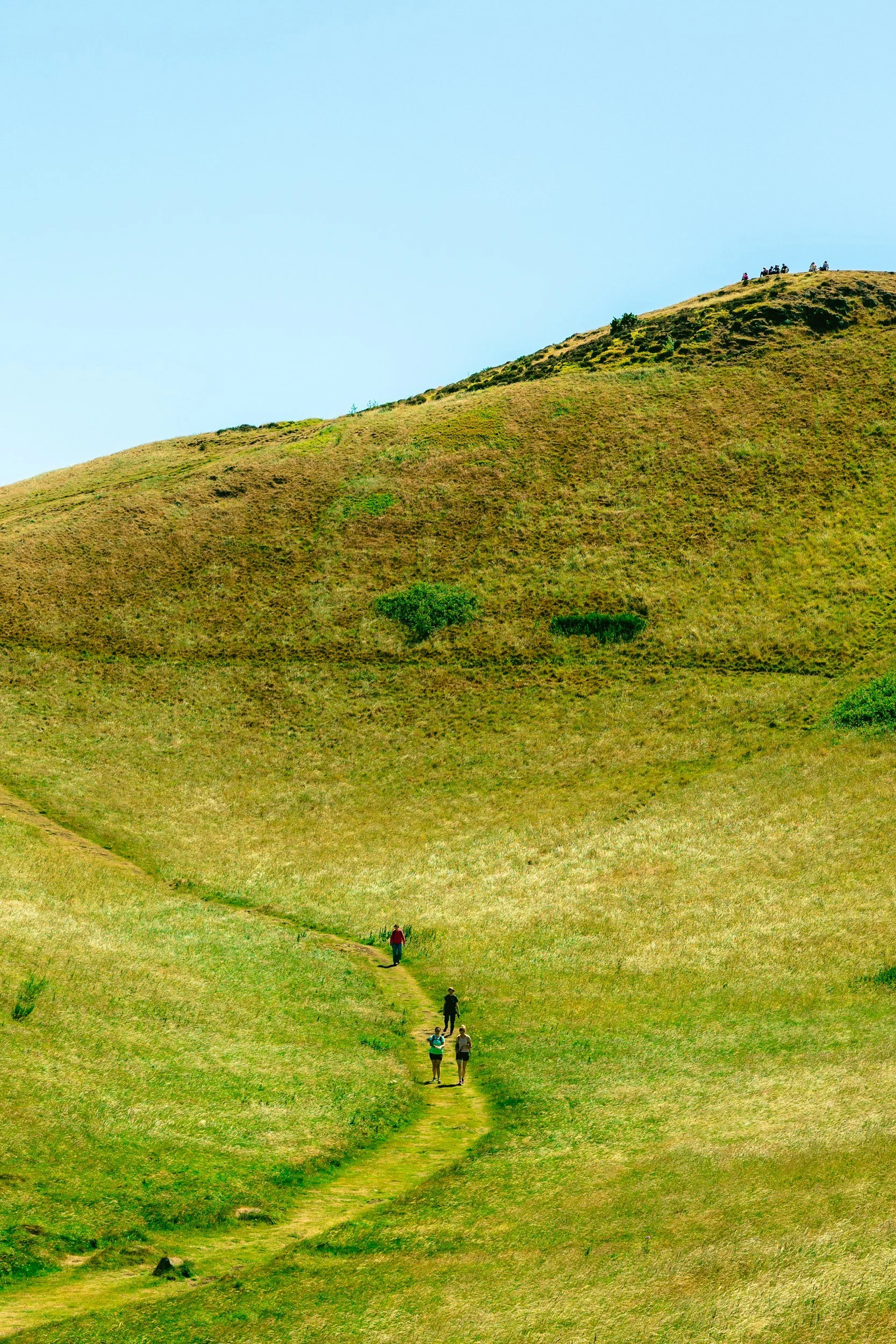 Grow Your Leadership with REVERB