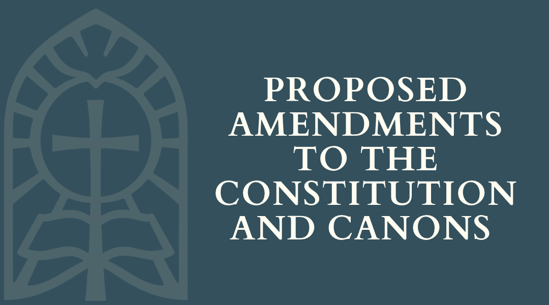 Constitution and Canons.png