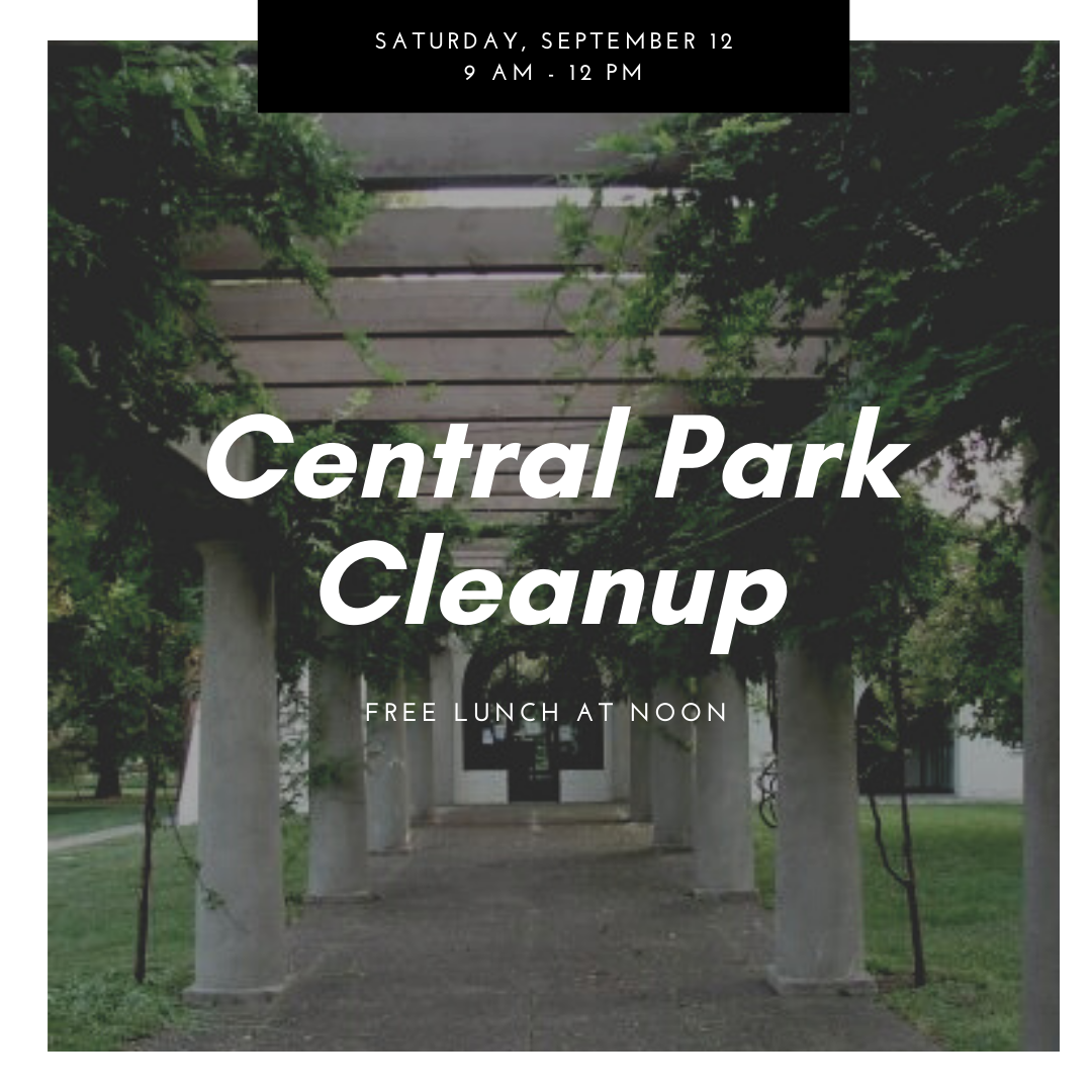 Central Park Cleanup